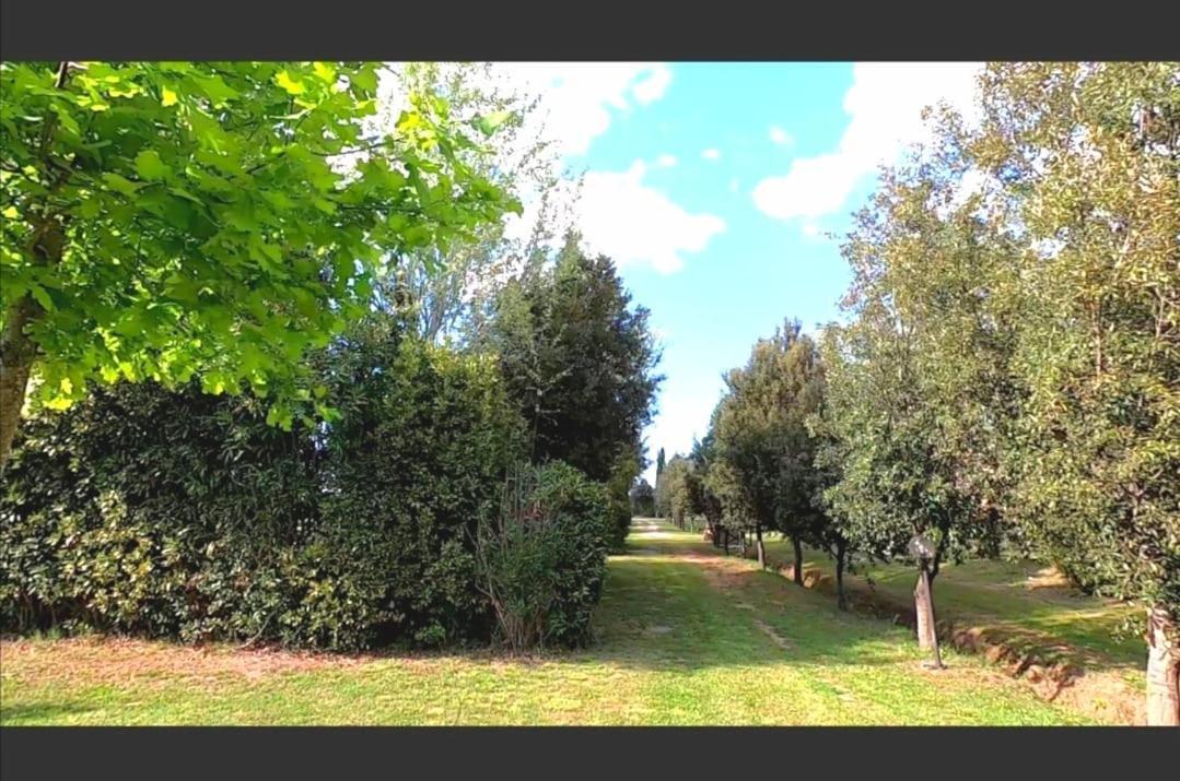Bnatural Glamping Naturista/Nudista Baratti Dış mekan fotoğraf