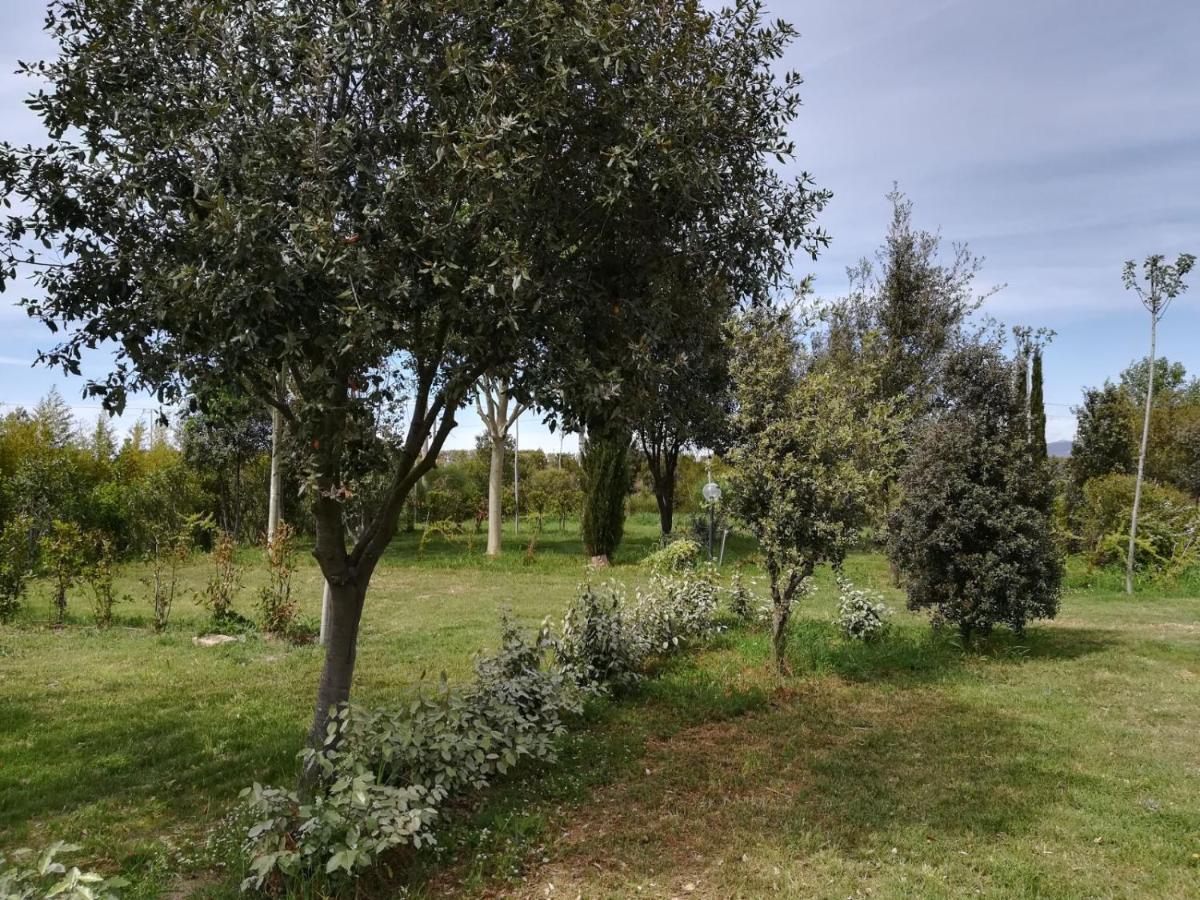 Bnatural Glamping Naturista/Nudista Baratti Dış mekan fotoğraf
