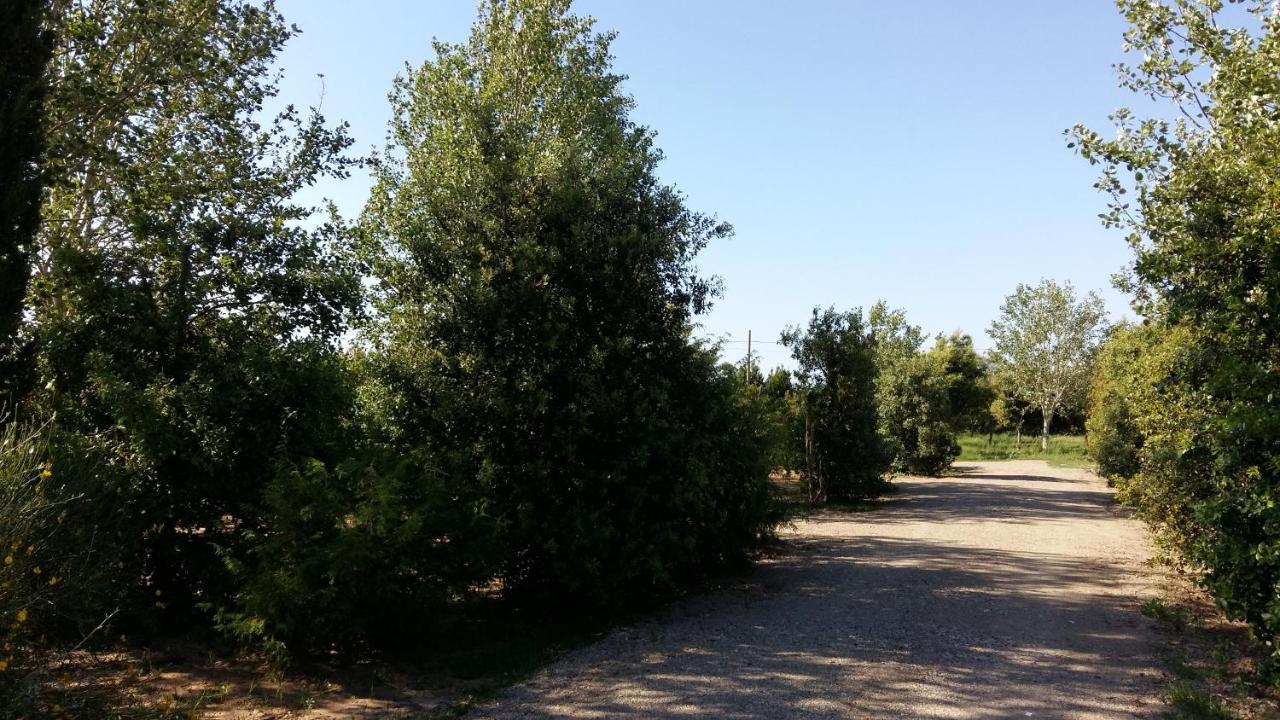 Bnatural Glamping Naturista/Nudista Baratti Dış mekan fotoğraf