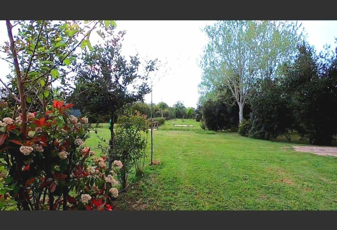 Bnatural Glamping Naturista/Nudista Baratti Dış mekan fotoğraf