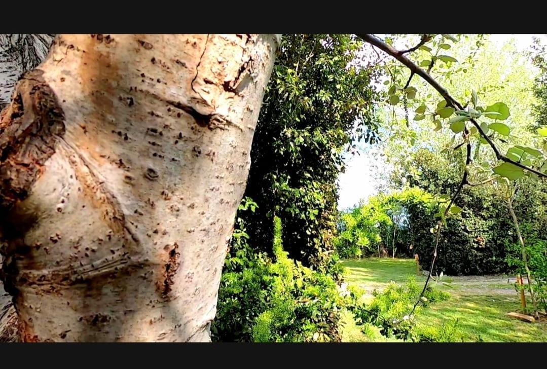 Bnatural Glamping Naturista/Nudista Baratti Dış mekan fotoğraf