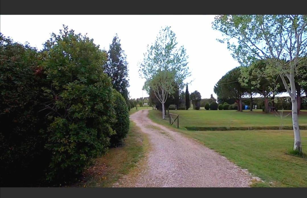 Bnatural Glamping Naturista/Nudista Baratti Dış mekan fotoğraf