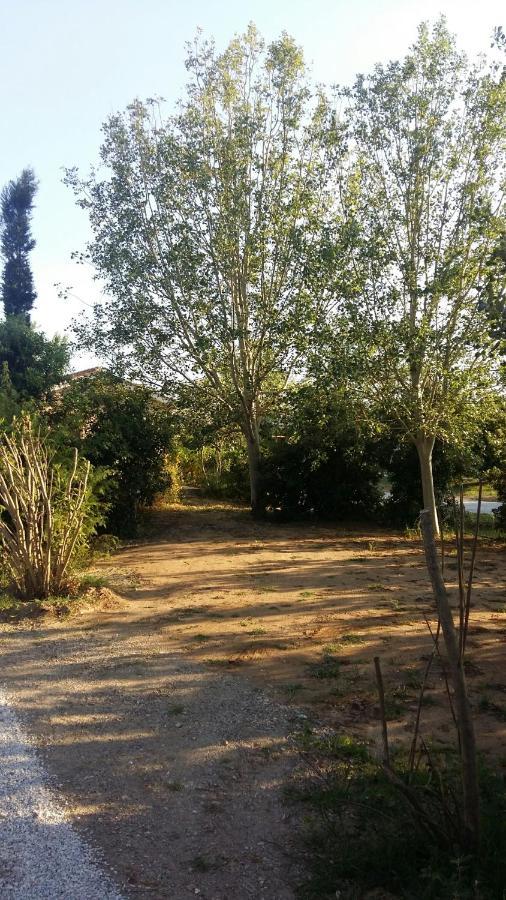 Bnatural Glamping Naturista/Nudista Baratti Dış mekan fotoğraf