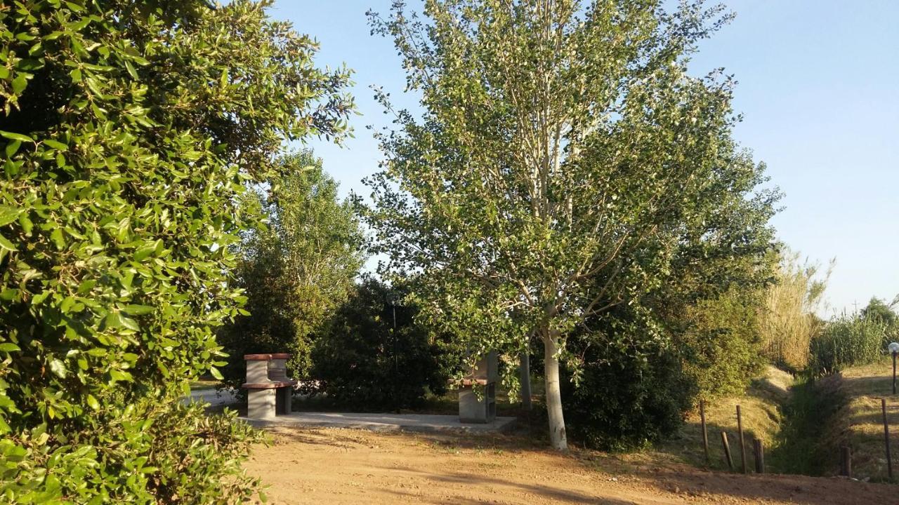 Bnatural Glamping Naturista/Nudista Baratti Dış mekan fotoğraf