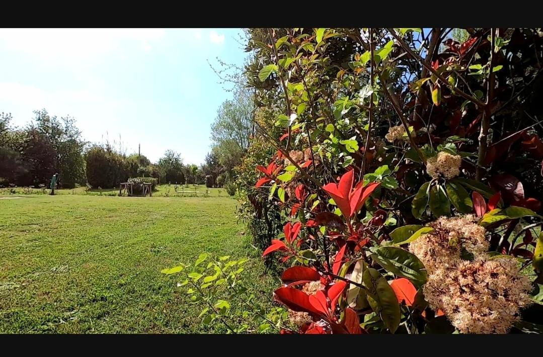 Bnatural Glamping Naturista/Nudista Baratti Dış mekan fotoğraf